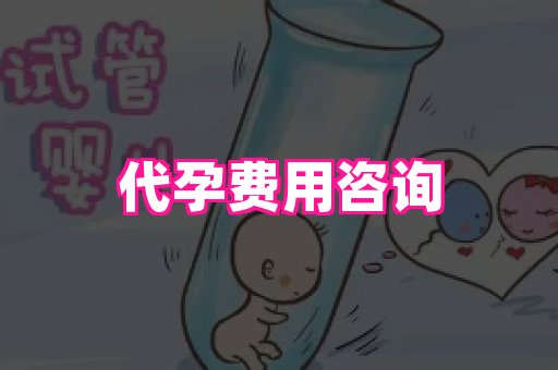 南昌助孕网 1